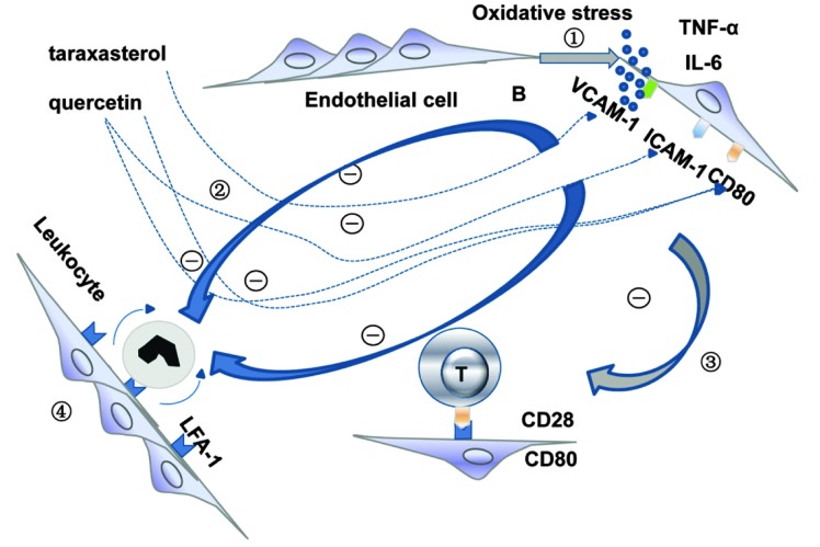 Figure 6.