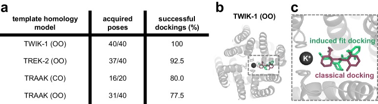 Figure 4—figure supplement 2.