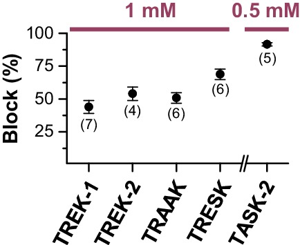 Figure 1—figure supplement 2.