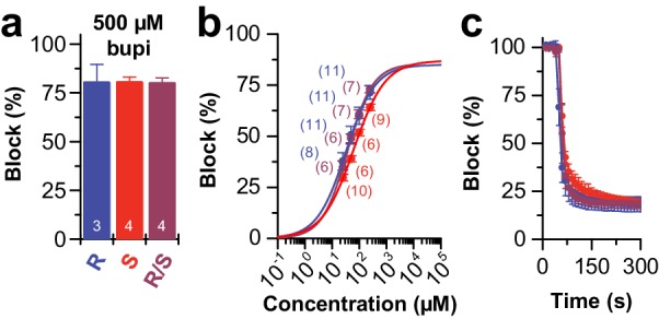 Figure 1—figure supplement 1.