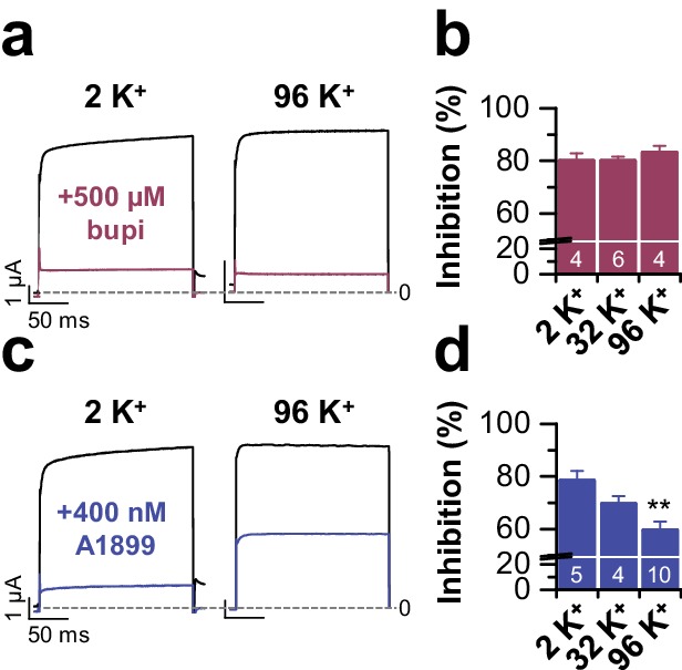 Figure 1—figure supplement 4.