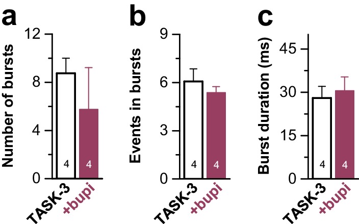 Figure 5—figure supplement 1.