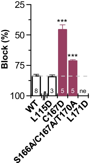 Figure 4—figure supplement 1.