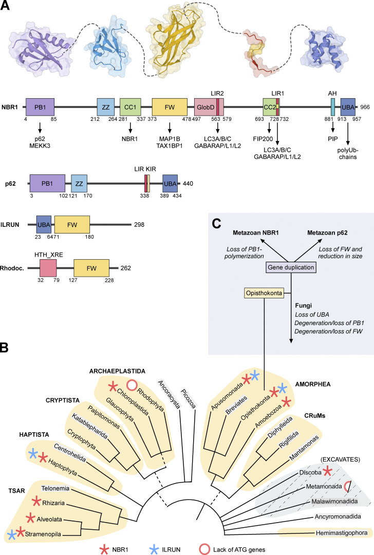 Figure 2.