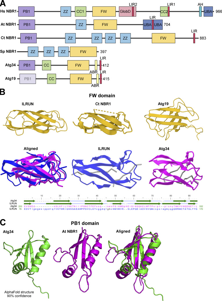 Figure 3.