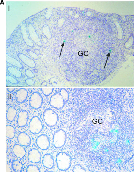 FIG. 2.