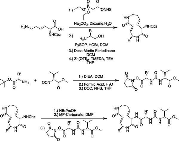 Scheme 1