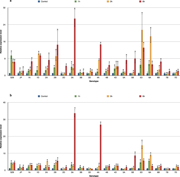 Figure 6