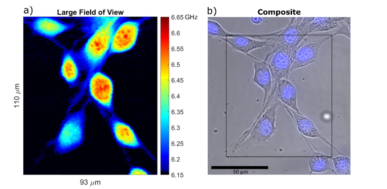 Fig. 4