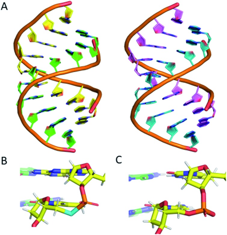 Fig. 6