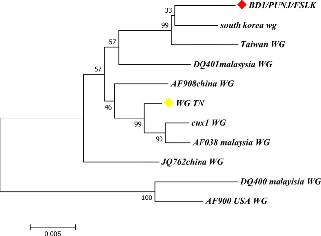 Fig. 6