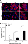 FIG 2