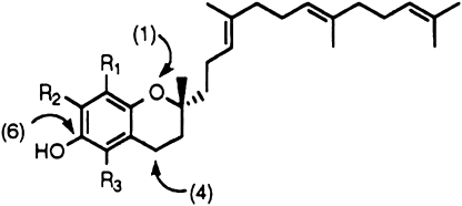 Fig. 5