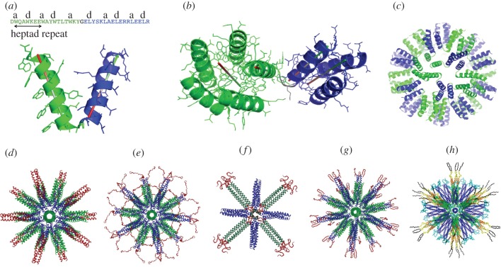 Figure 2.