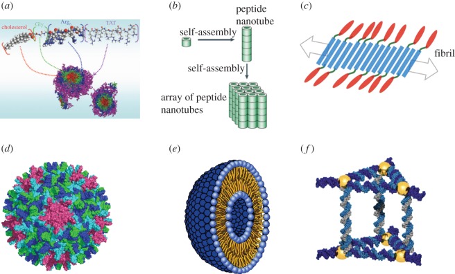 Figure 1.