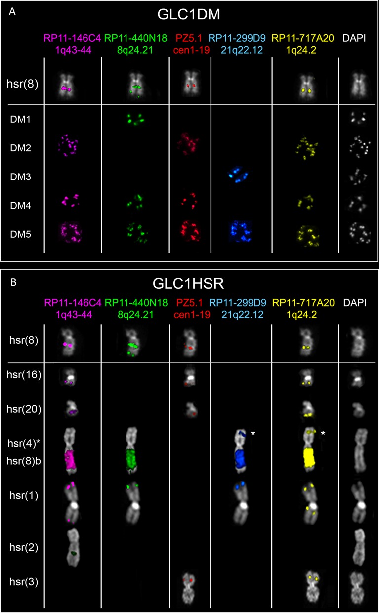 Figure 2.