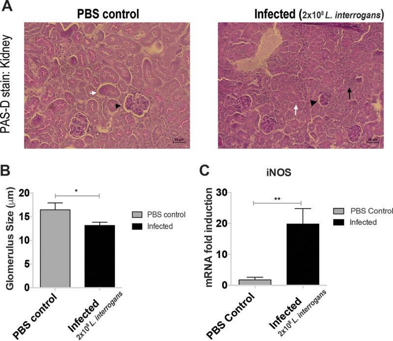 FIG 3