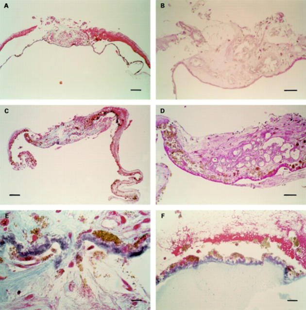 Figure 3  