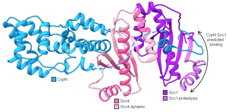 Figure 9