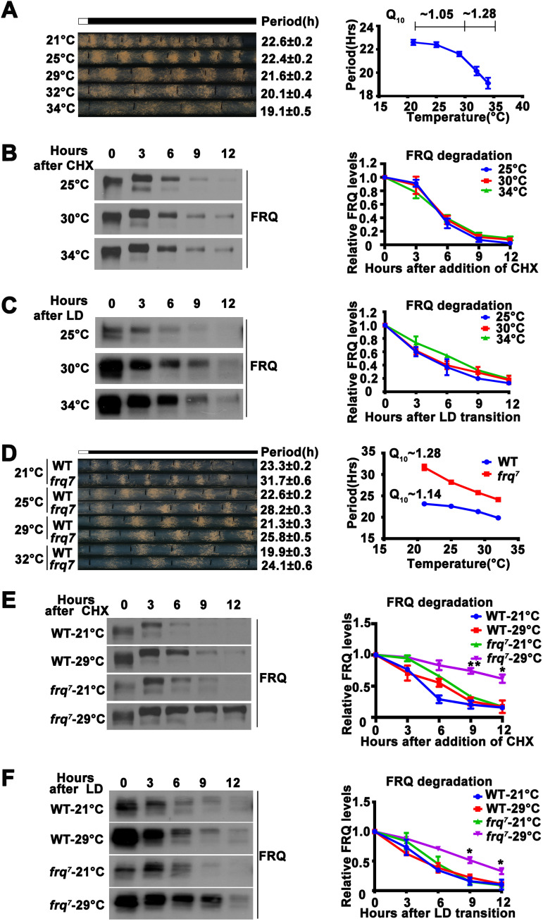 FIG 1