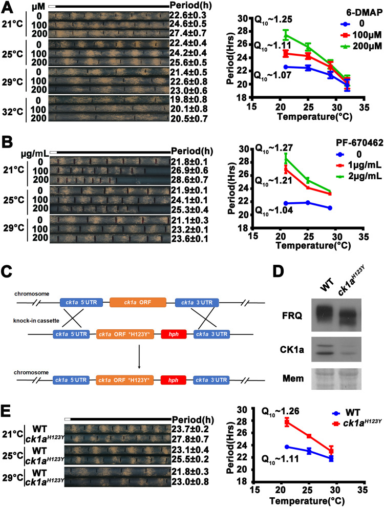 FIG 2