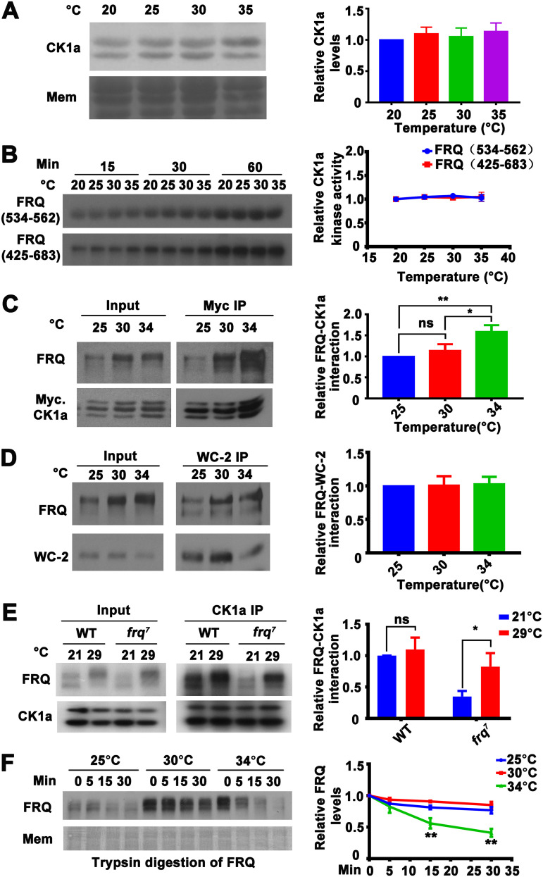 FIG 3