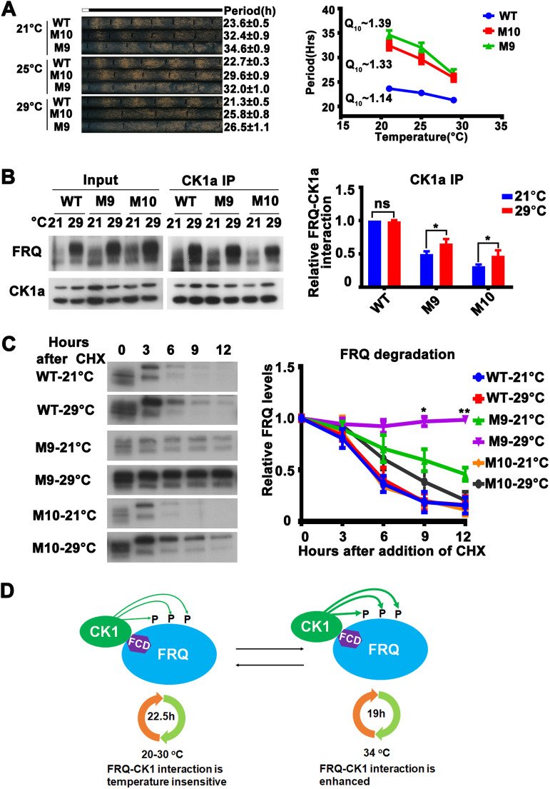 FIG 6