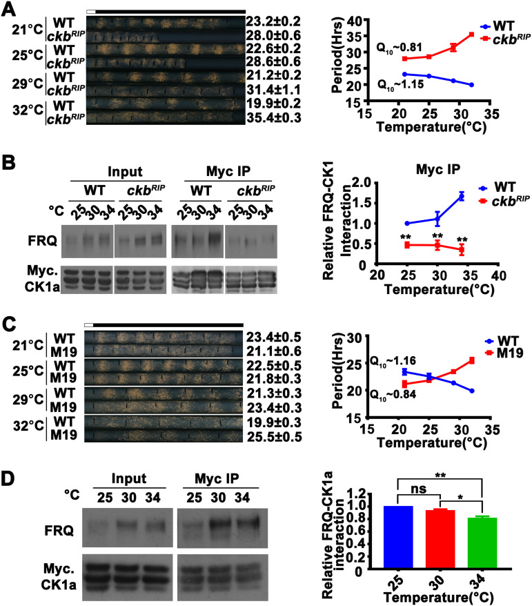 FIG 4