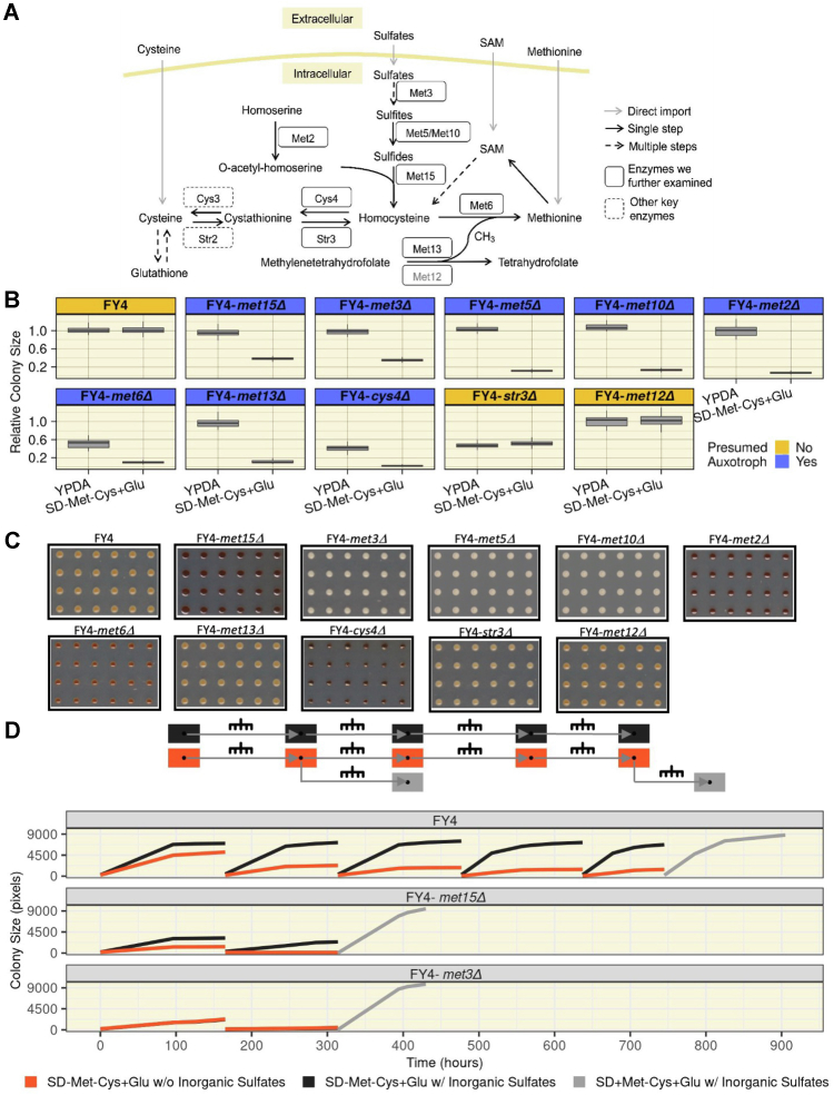 Figure 2