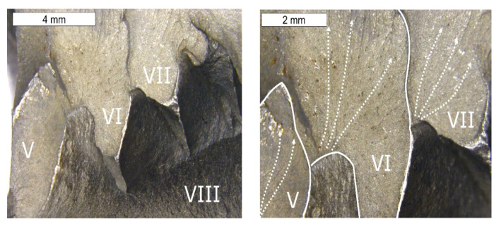 Figure 21