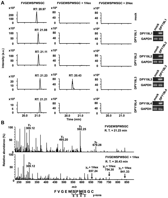 Figure 3.