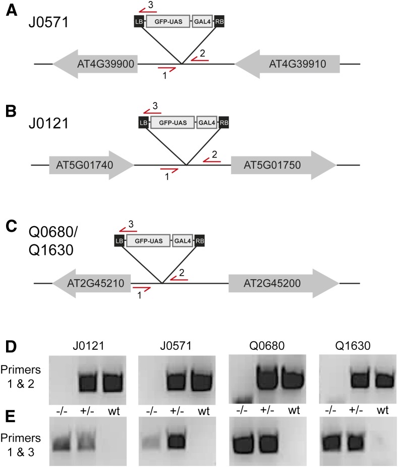 Figure 5.