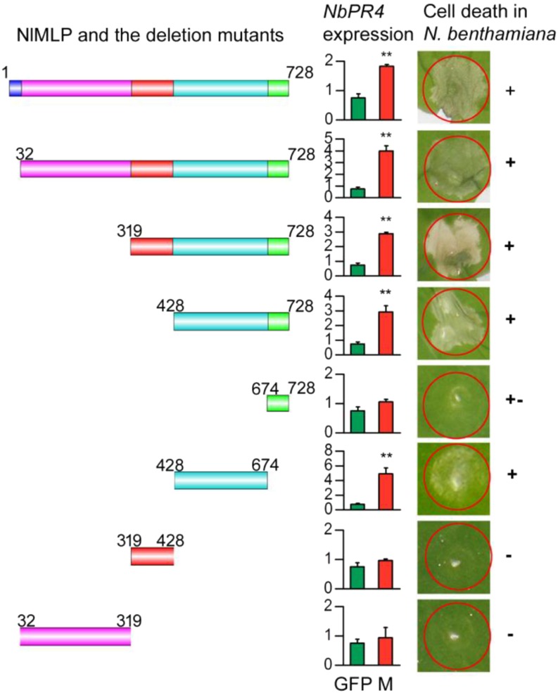 Figure 6.