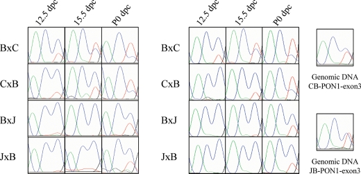 Figure 2.