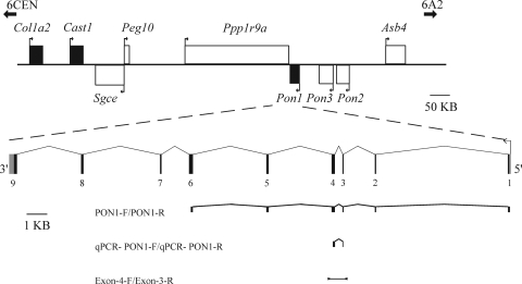 Figure 1.