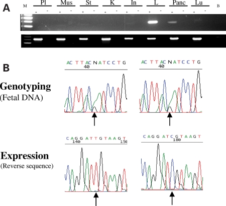 Figure 4.