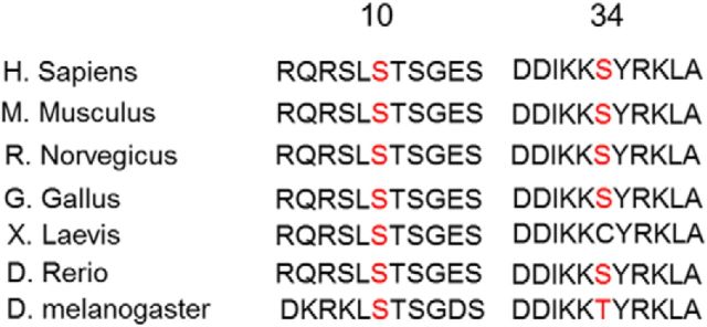 Figure 7.