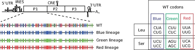 Figure 2.