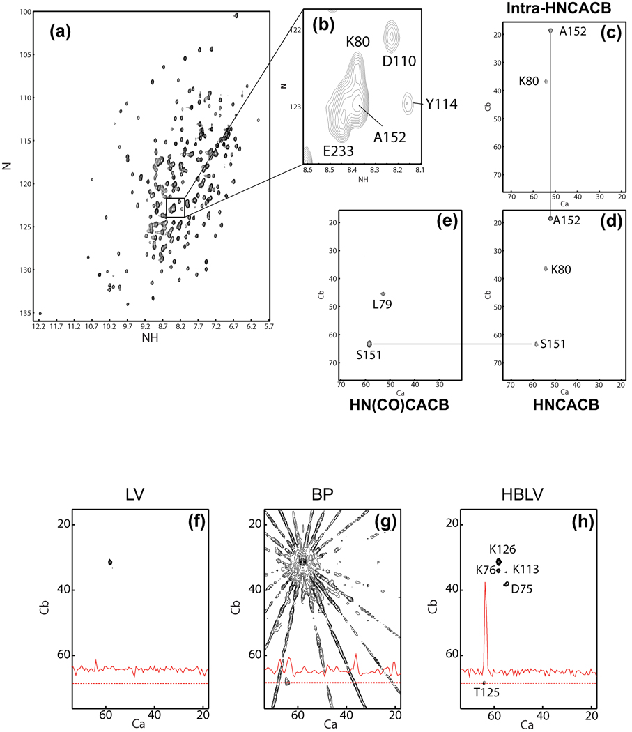 Figure 28