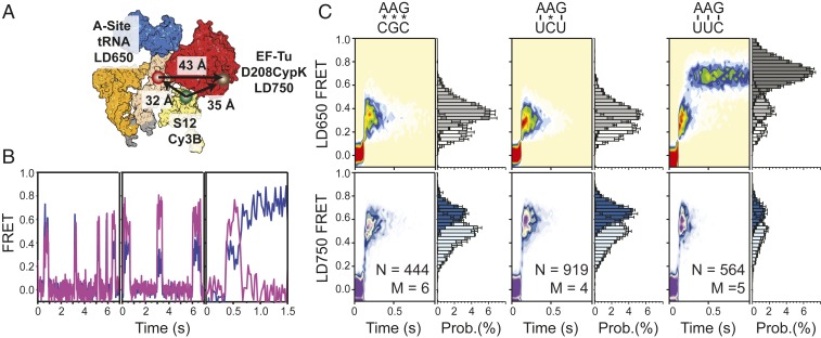 Fig. 3.