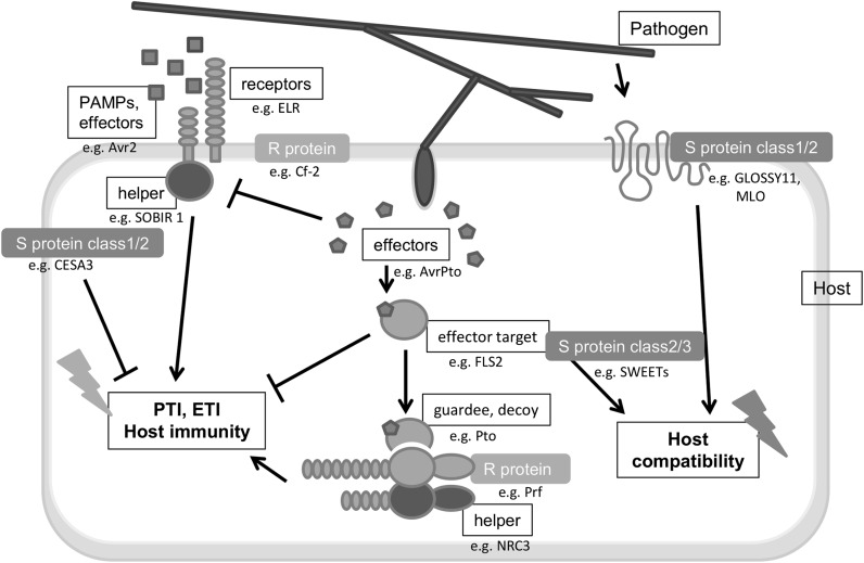 Fig. 1