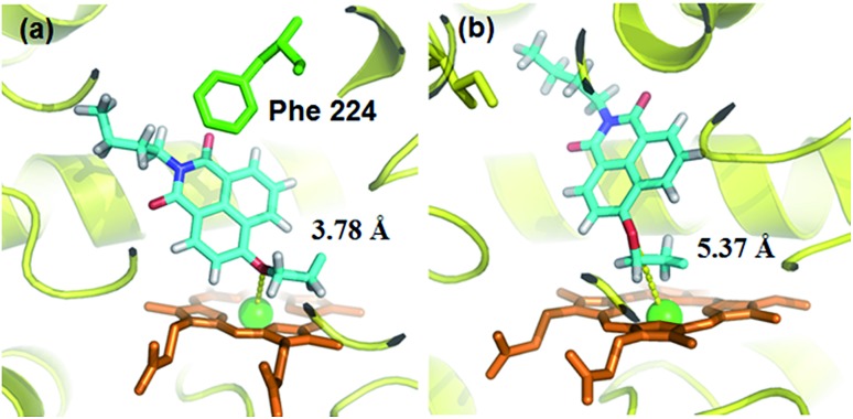 Fig. 10