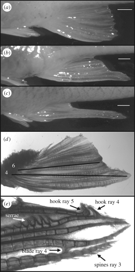 Figure 1.