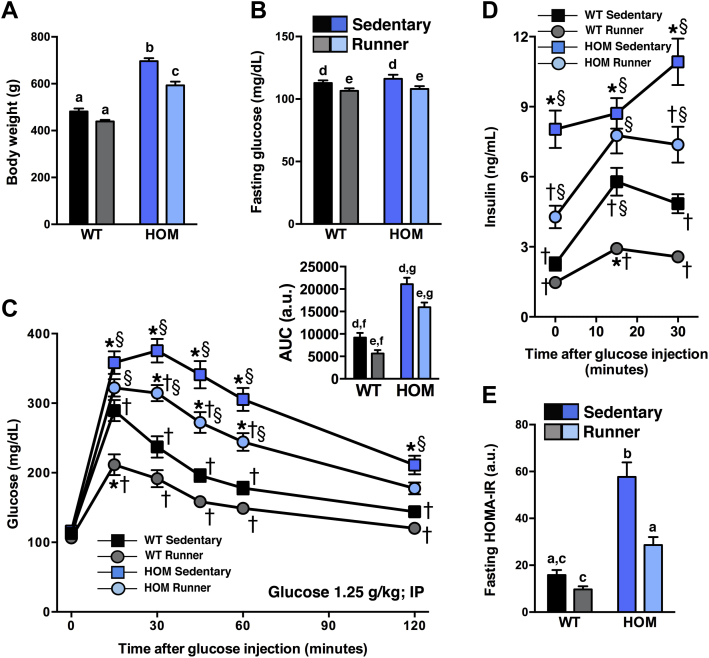 Figure 6