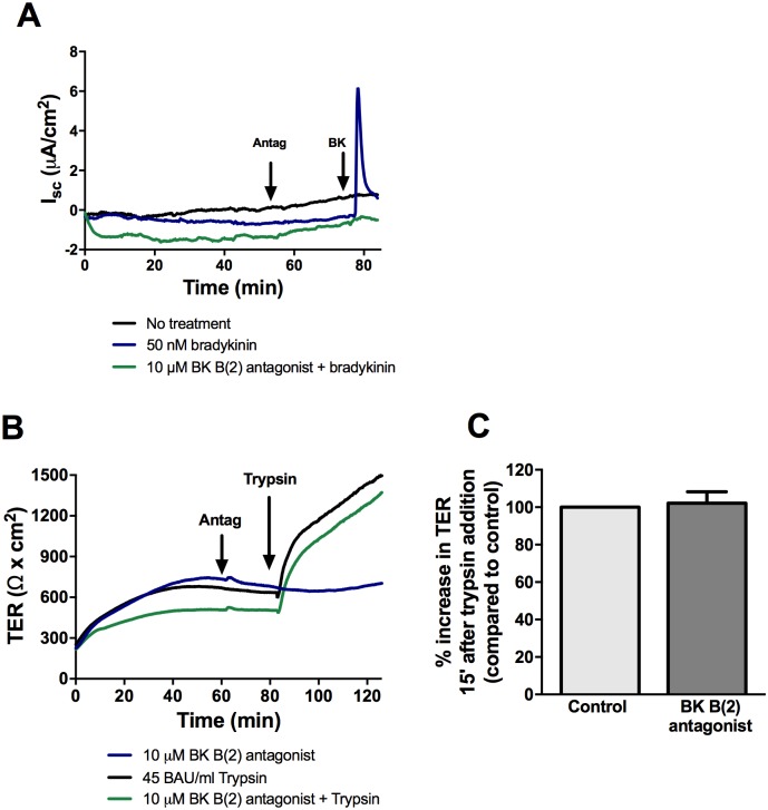 Fig 10