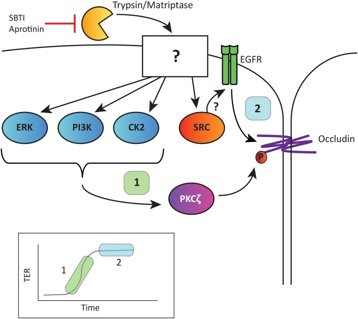 Fig 12