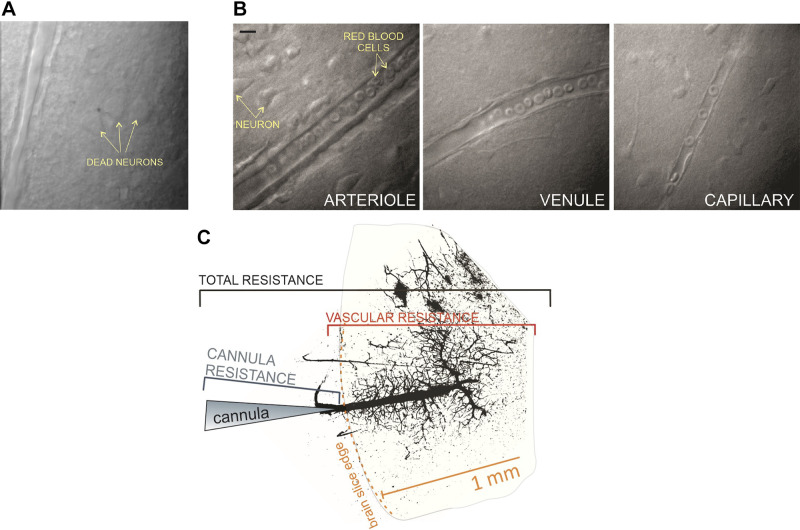 Figure 14.