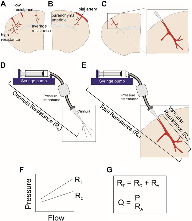 Figure 13.