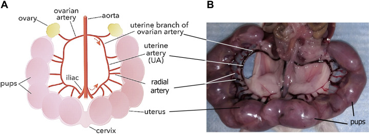 Figure 9.