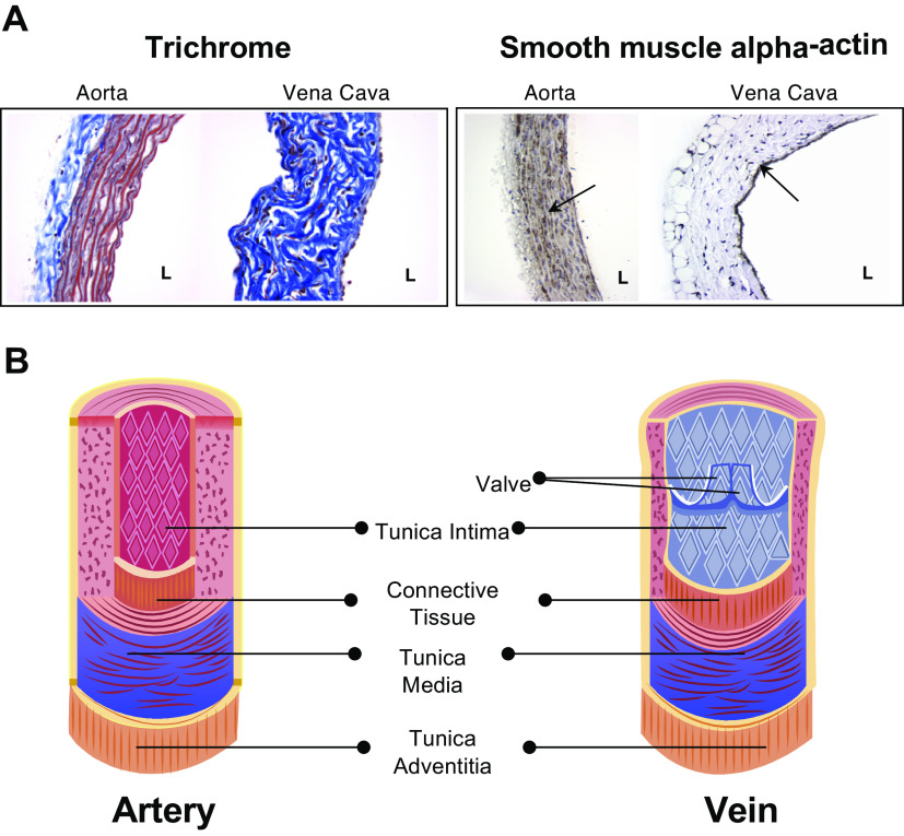 Figure 15.